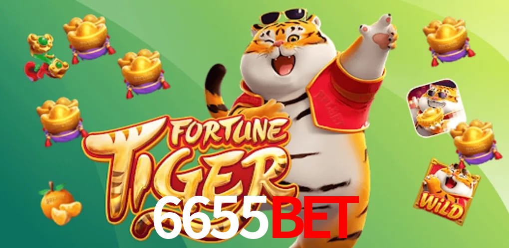 Experiência VIP 6655bet